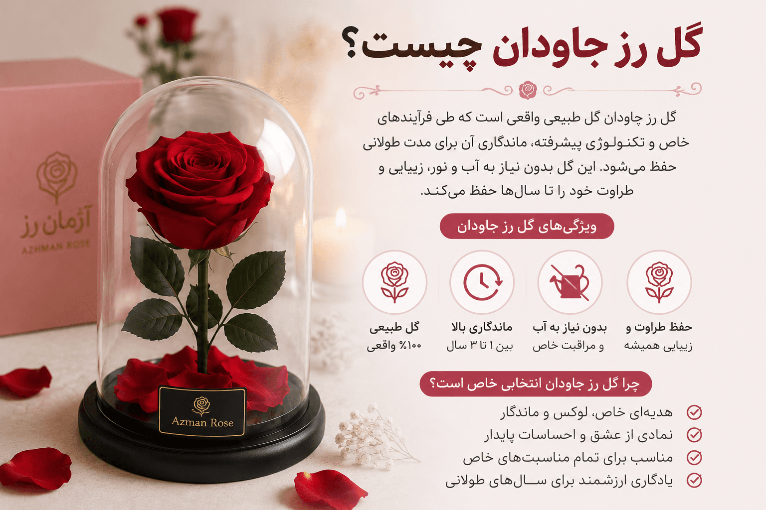 گل رز جاودان چیست و چرا بهترین هدیه عاشقانه محسوب میشود؟