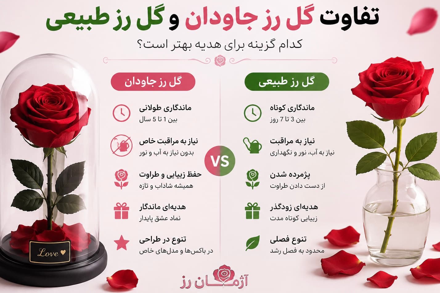 تفاوت گل رز جاودان با گل طبیعی چیست؟ کدام گزینه برای هدیه بهتر است؟