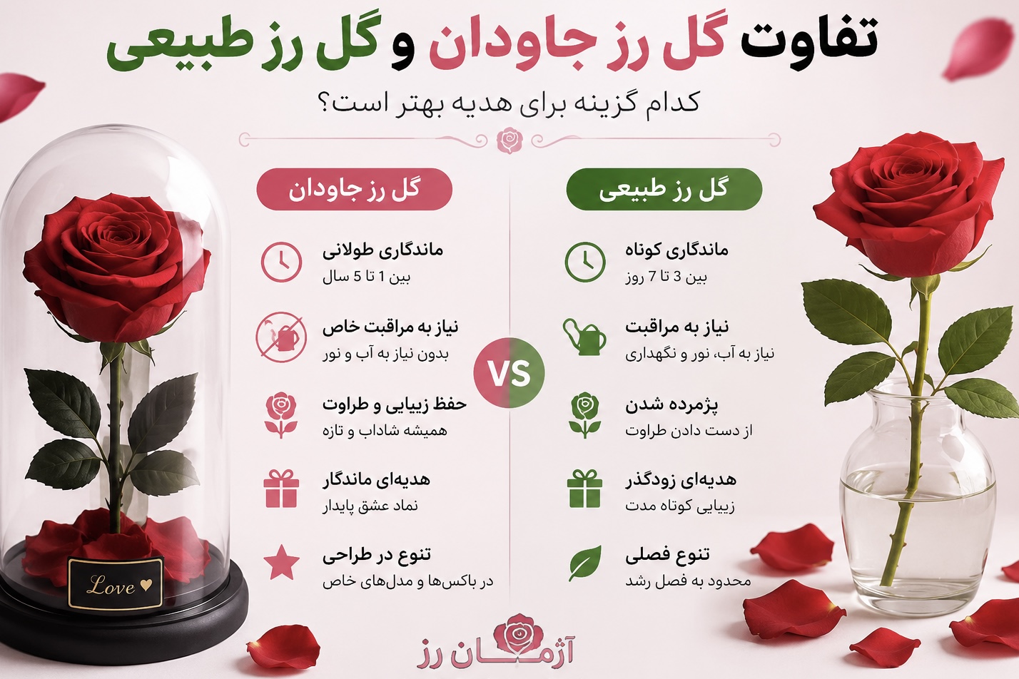 تفاوت گل رز جاودان با گل طبیعی چیست؟ کدام گزینه برای هدیه بهتر است؟