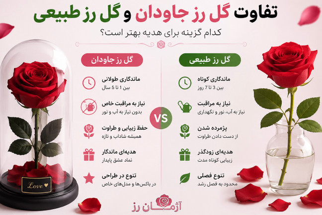 تفاوت گل رز جاودان با گل طبیعی چیست؟ کدام گزینه برای هدیه بهتر است؟