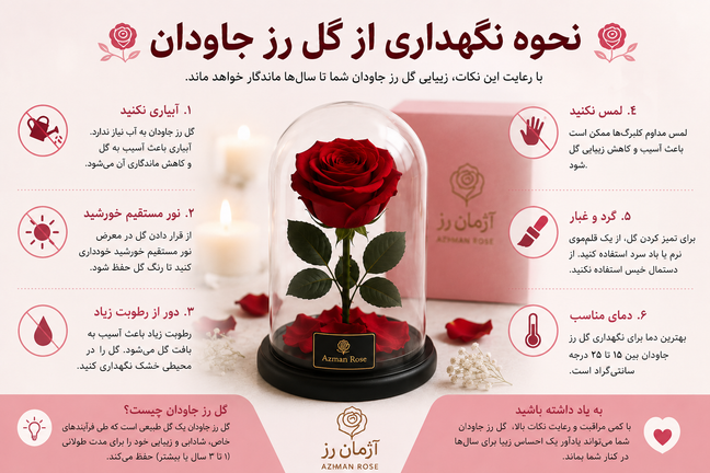 نحوه نگهداری از گل رز جاودان؛ چگونه زیبایی آن را برای سالها حفظ کنیم؟